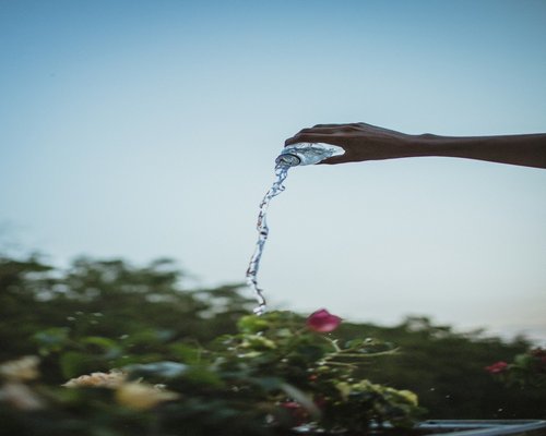 น้ำดื่มและการพักผ่อนที่สมดุล